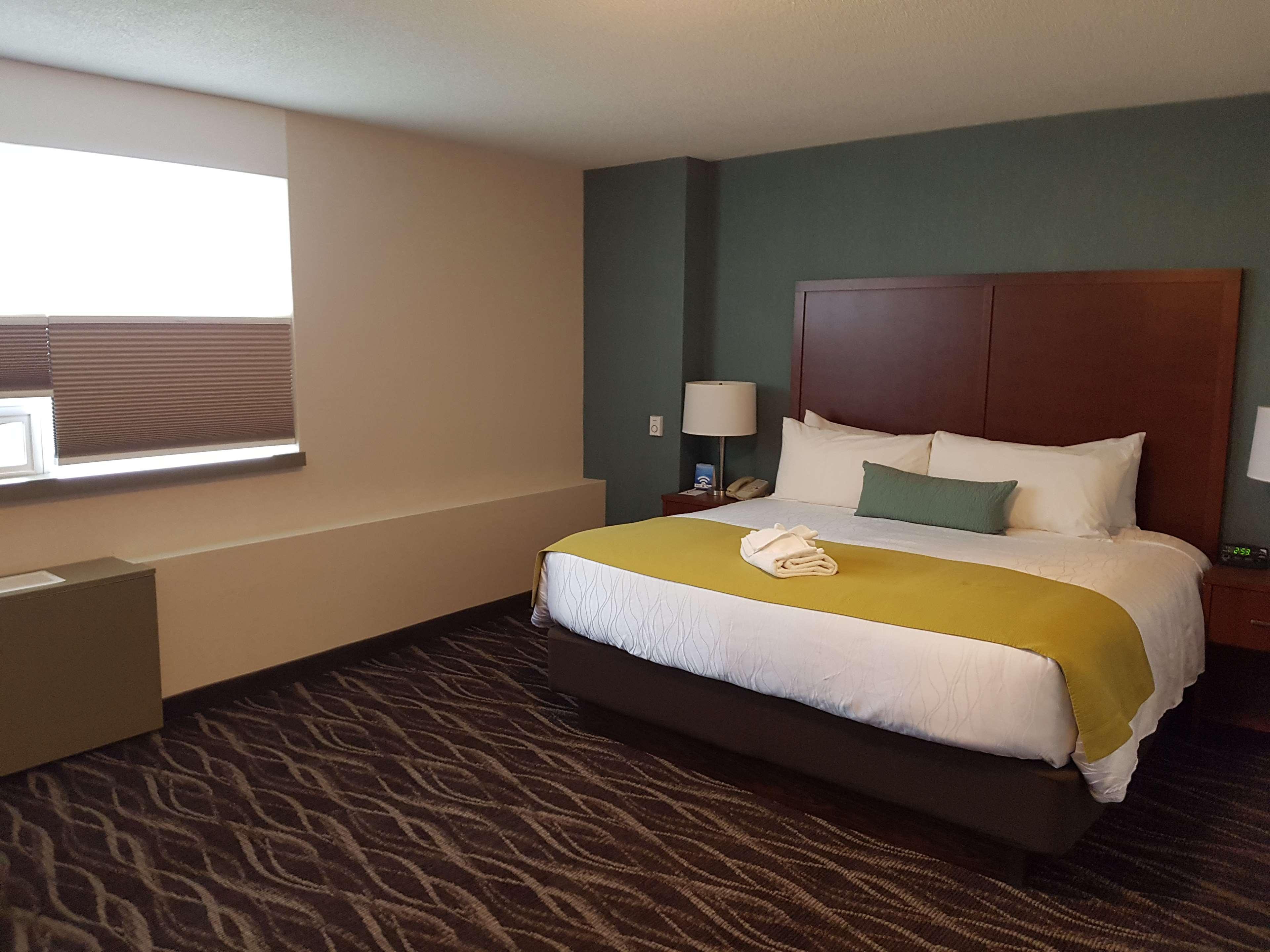 Best Western Plus Durham Hotel & Conference Centre Oshawa Eksteriør billede